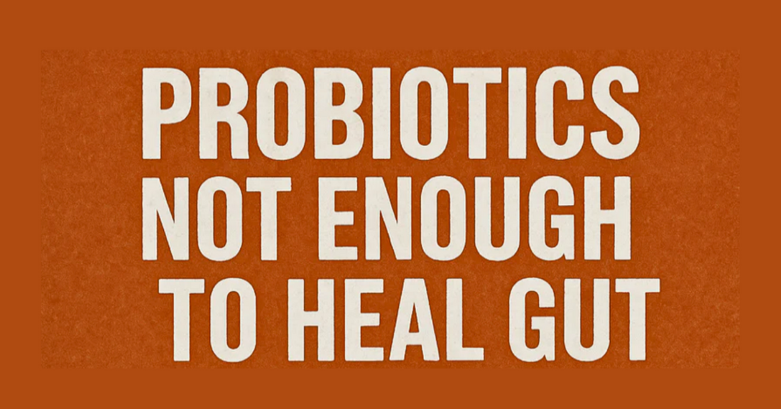 Probiotics Aren’t Enough: Why You Need a Full Gut Support System